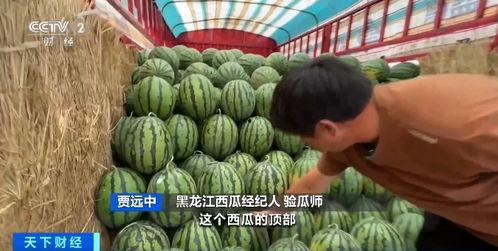 香水吃瓜 第1张 香水吃瓜 第1张